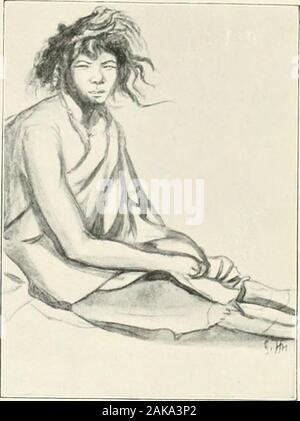 Trans-Himalaya; Entdeckungen und Abenteuer in Tibet. 377 Stockfoto