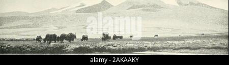 Trans-Himalaya; Entdeckungen und Abenteuer in Tibet. 366. Die von illage Lunkar vom Temple Hill.. Stockfoto