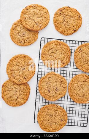 Hafer und Rosinen Cookies Stockfoto