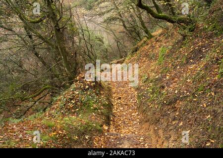 Meteora, Griechenland - Dec 19, 2019: Wanderweg von Meteora, Griechenland Stockfoto