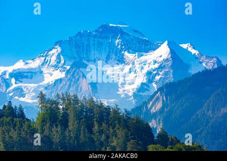 Den Berg Jungfrau, als von Interlaken gesehen, wichtige touristische Zentrum im Berner Oberland, Schweiz. Stockfoto
