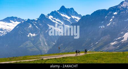 Touristen auf Wanderweg auf dem Berg Mannlichen, beliebter Aussichtspunkt in den Schweizer Alpen, Schweiz. Stockfoto