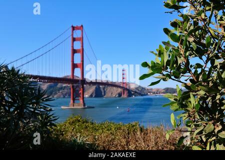 Blick auf die Golden Gate Bridge vom Crissy Field, San Francisco, Kalifornien, USA Stockfoto