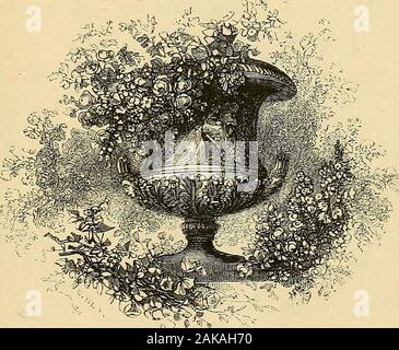 Paxton's Magazine für Botanik und Register der blühenden Pflanzen. 3 1827 00017147 9. Blumen in allen Farbton. Band der 9. LONDON: VERÖFFENTLICHT DURCH Wm. S. ORR & Co., PATERNOSTER ROW. LONDON: BRaDBURV und EVANS, PRJNTBRS, WHITEFRFARS. 5 paxtonsmagazineo 09 paxt Stockfoto