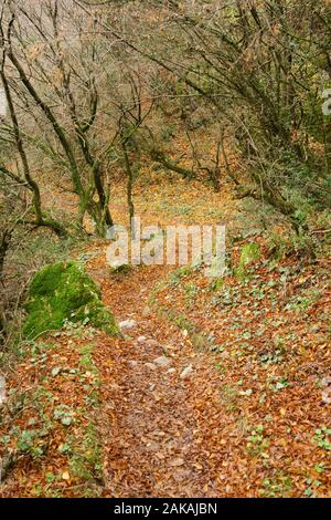 Meteora, Griechenland - Dec 19, 2019: Wanderweg von Meteora, Griechenland Stockfoto