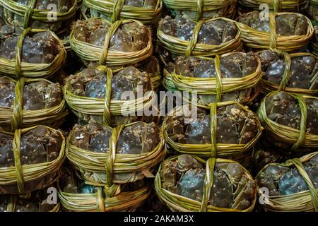 Behaarte Krabben für Verkauf auf Seafood Market, Hongkong Stockfoto