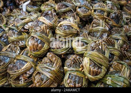 Behaarte Krabben für Verkauf auf Seafood Market, Hongkong Stockfoto