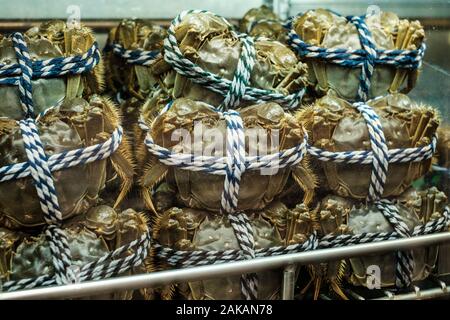 Behaarte Krabben für den Verkauf auf dem Fischmarkt, Hongkong Stockfoto