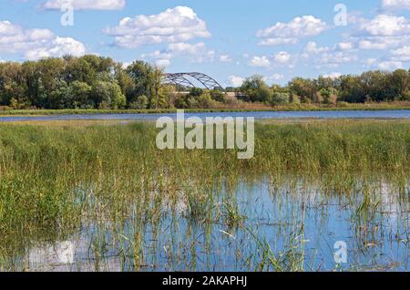 Minnesota Valley Wildlife Refuge und Highway 77 Brücke über Feuchtgebiete in Bloomington Minnesota Stockfoto