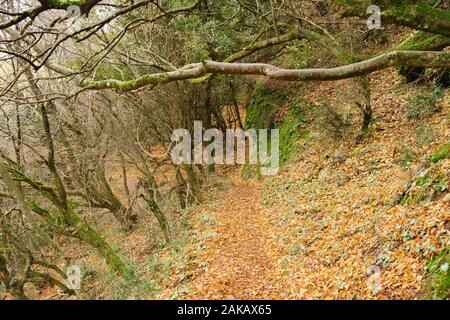 Meteora, Griechenland - Dec 19, 2019: Wanderweg von Meteora, Griechenland Stockfoto