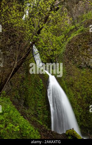 Blick auf Panther fällt, Skamania County, Washington, USA Stockfoto