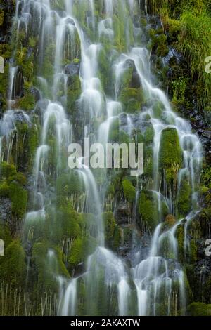 Blick auf Panther fällt, Skamania County, Washington, USA Stockfoto