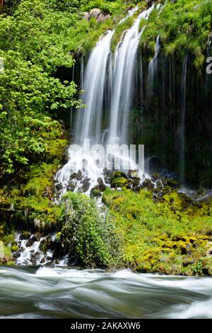 Blick auf Panther fällt, Skamania County, Washington, USA Stockfoto