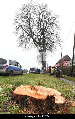 08. Januar 2020, Mecklenburg-Vorpommern, Neunkirchen: Umweltaktivisten in Neunkirchen in der Nähe von Greifswald Protest gegen das Fällen von Bäumen für die Verlängerung der Ostsee Küste Radweg mit einem Baum Besetzung an der Kreisstraße K 5. Die Aktivisten der Bewegung für Klimagerechtigkeit Greifswald möchte die Aufmerksamkeit auf die Pflanze Rückstand des Landkreises Nordvorpommern zu zeichnen. Entsprechend der Klimagerechtigkeit Bewegung, gibt es einen Mangel an mehr als 4000 Bäumen entlang der Kreisstraßen im Landkreis Nordvorpommern. Der Protest richtet sich auch gegen die Möglichkeit des gezielten Stockfoto