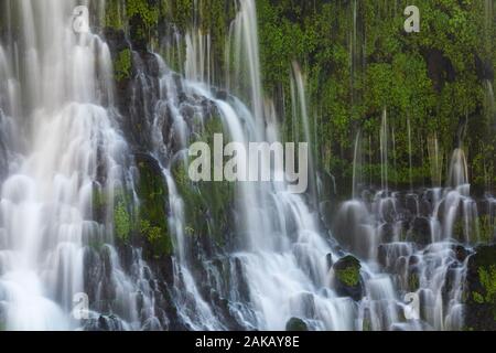 Blick auf den Wasserfall, Mc Arthur-Burney fällt Memorial State Park, Burney, Kalifornien, USA Stockfoto