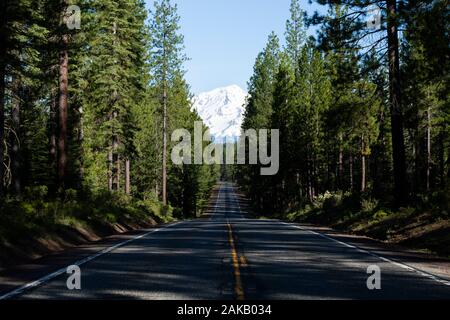 Leere Wald Autobahn Richtung schneebedeckten Mount Shasta Vulkan, Siskiyou County, Kalifornien, USA Stockfoto