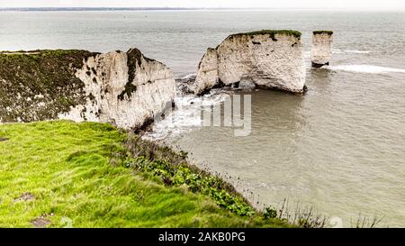 Kreidefelsen Linie der Old Harry Rocks und Frau an trüben Wintertag, Purbeck, Dorset, England, Vereinigtes Königreich Stockfoto