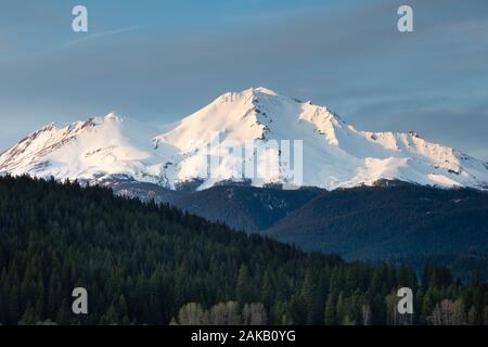 Blick auf den Mount Shasta, Siskiyou County, Kalifornien, USA Stockfoto