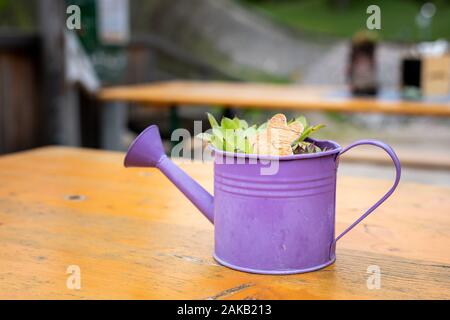 Kleine lila Gießkanne, stehend auf einem Holztisch Stockfoto