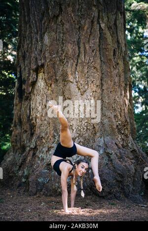 Frau Yoga unter Giant Sequoia, Tacoma, Washington State, USA Stockfoto