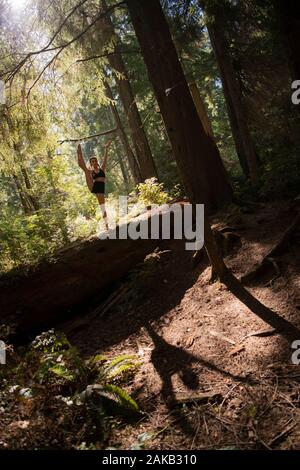 Frau Yoga unter Giant Sequoia, Tacoma, Washington State, USA Stockfoto