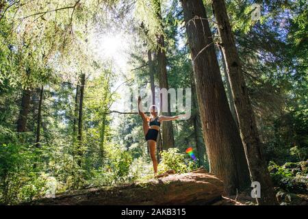 Frau Yoga unter Giant Sequoia, Tacoma, Washington State, USA Stockfoto