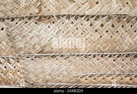 Palm Leaf Wand, natürlichen Hintergrund oder Textur. Stockfoto