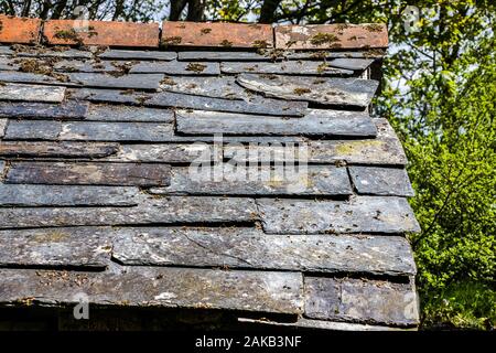 Delabole Schieferdach Stockfoto