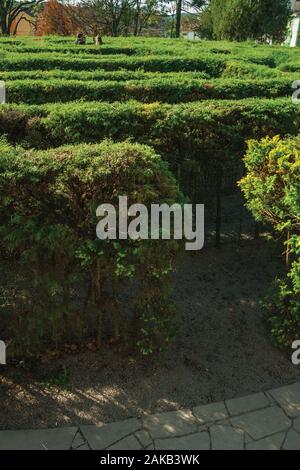 Eingang aus einem Labyrinth von immergrünen Sträuchern in einem Garten in Nova Petrópolis. Eine Stadt, die von deutschen Einwanderern im südlichen Brasilien gegründet. Stockfoto