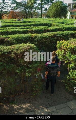 Eingang aus einem Labyrinth von immergrünen Sträuchern in einem Garten in Nova Petrópolis. Eine Stadt, die von deutschen Einwanderern im südlichen Brasilien gegründet. Stockfoto