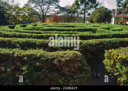 Eingang aus einem Labyrinth von immergrünen Sträuchern in einem bewaldeten Garten in Nova Petrópolis. Eine Stadt, die von deutschen Einwanderern im südlichen Brasilien gegründet. Stockfoto