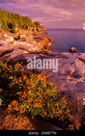 Landschaft mit felsigen Küste und See bei Sonnenuntergang, Bruce Peninsula National Park, Ontario, Kanada Stockfoto