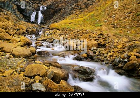 Landschaft mit Stream in der Senke, Gros Morne National Park, Neufundland, Kanada Stockfoto