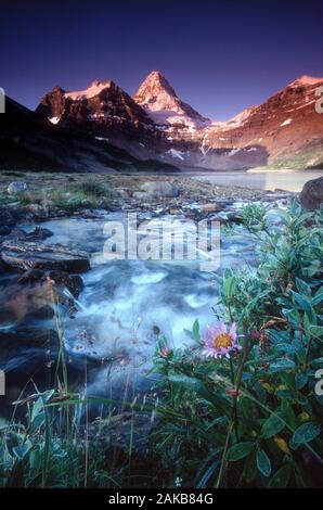 Landschaft mit Stream und Berge, Mt. Assiniboine Provincial Park, British Columbia, Kanada Stockfoto