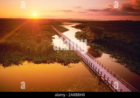 Luftaufnahme von Landschaft mit Promenade in Marsh bei Sonnenuntergang, Point Pelee National Park, Ontario, Kanada Stockfoto