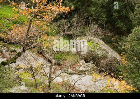 Meteora, Griechenland - Dec 19, 2019: Wanderweg von Meteora, Griechenland Stockfoto