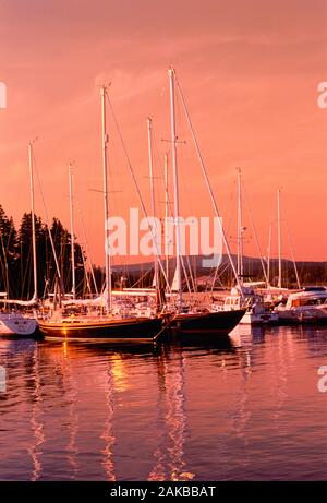 Segelboote im Hafen bei Sonnenuntergang, Berrand, Mount Desert Island, Maine, USA Stockfoto