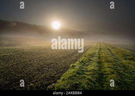 Neblige Landschaft, Oberweser, Wesertal, Weserbergland, Nordrhein-Westfalen, Hessen, Deutschland Stockfoto