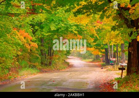Land Straße mit Bäumen auf Seiten im Herbst, Bennington, Vermont, USA Stockfoto