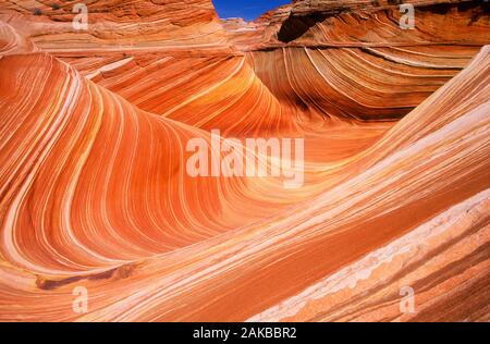 Landschaft mit glatten Felsen in der Wüste, Paria Canyon-Vermilion Cliffs Wilderness Area, Arizona, USA Stockfoto