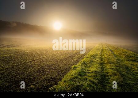 Neblige Landschaft, Oberweser, Wesertal, Weserbergland, Nordrhein-Westfalen, Hessen, Deutschland Stockfoto