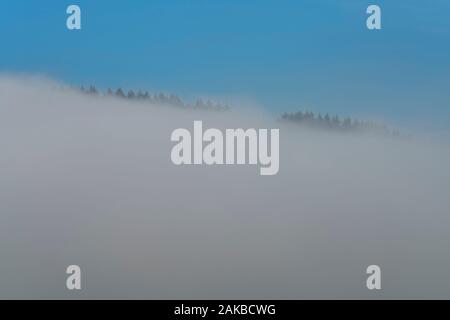 Neblige Landschaft, Oberweser, Wesertal, Weserbergland, Nordrhein-Westfalen, Hessen, Deutschland Stockfoto