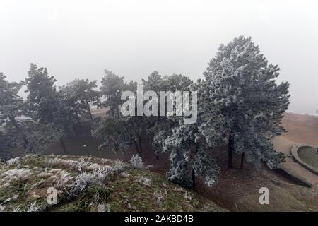 Schloss von Boldogko in Boldogkovaralja, Ungarn an einem nebligen Wintertag. Stockfoto