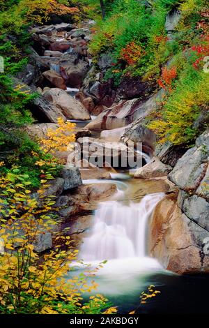 Stream und kleinen Wasserfällen fließt unter den Felsen, die Wildwasserbahn, Franconia Notch, New Hampshire, USA Stockfoto