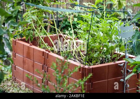 Kunststoffkomposter im Zuteilungsgarten, Kartoffelgemüse, Kompostpflanzen Stockfoto