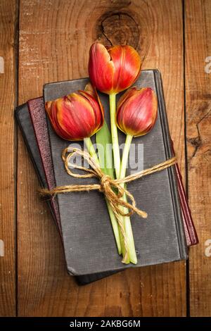 Drei Tulpen auf Büchern auf einem Holztisch gebunden Stockfoto