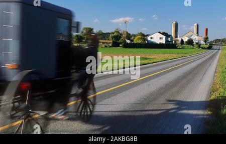 Amish Pferdekutsche auf Landstraße, Lancaster County, Pennsylvania, USA Stockfoto