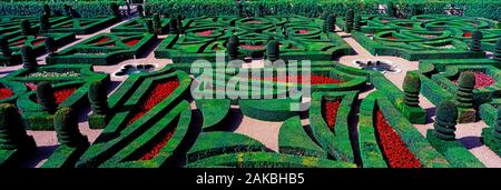 Gärten des Château de Villandry, Villandry, Frankreich Stockfoto