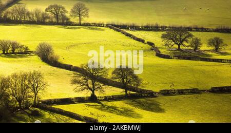 Blick aus braunen Clee Hill über Shropshire. Stockfoto