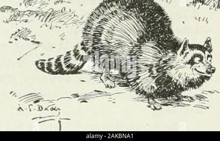 Karikatur; Witz und Humor einer Nation in Bild, Lied und Geschichte. Stockfoto